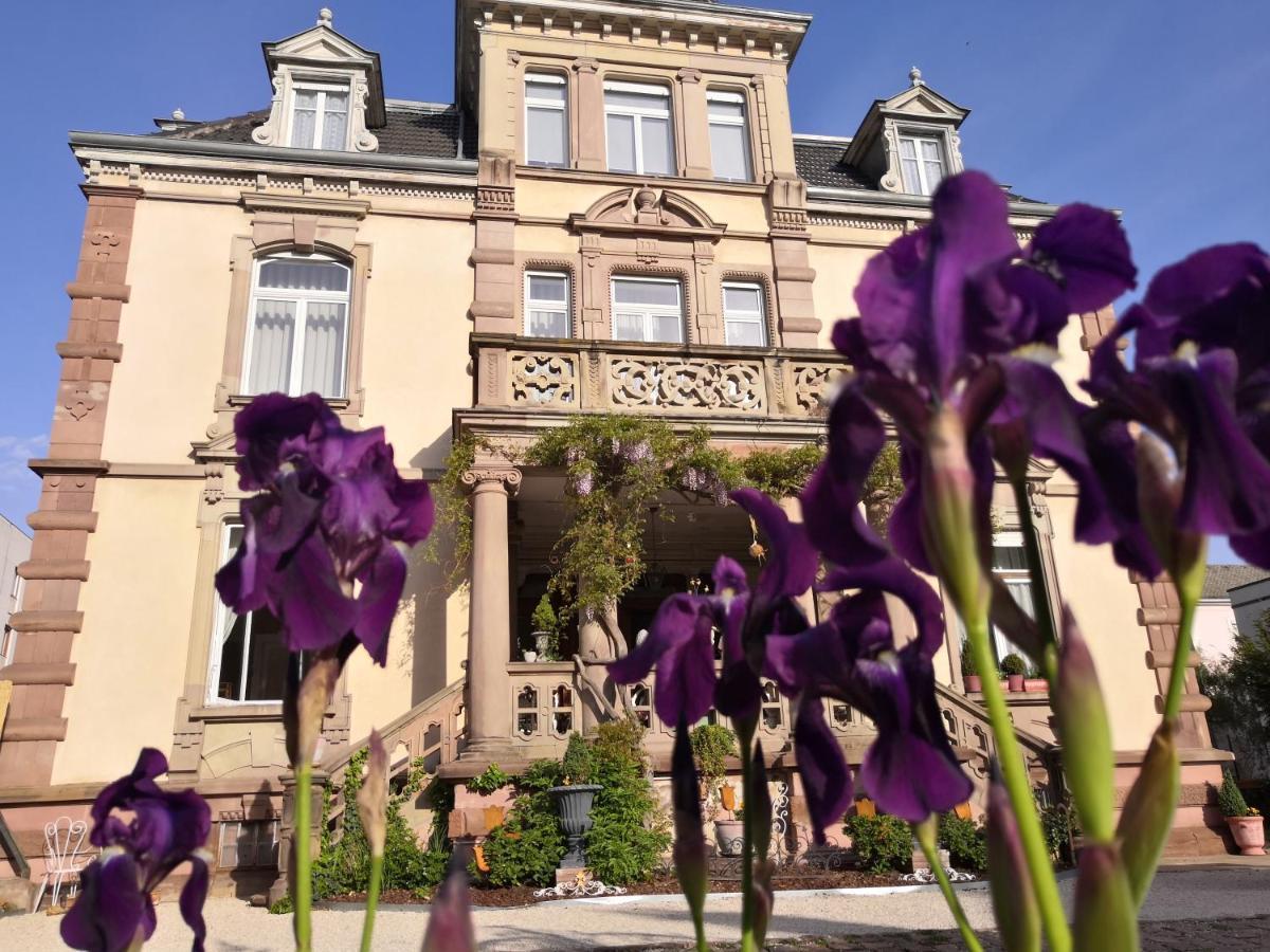 Castelnau Hotel Colmar Exterior foto