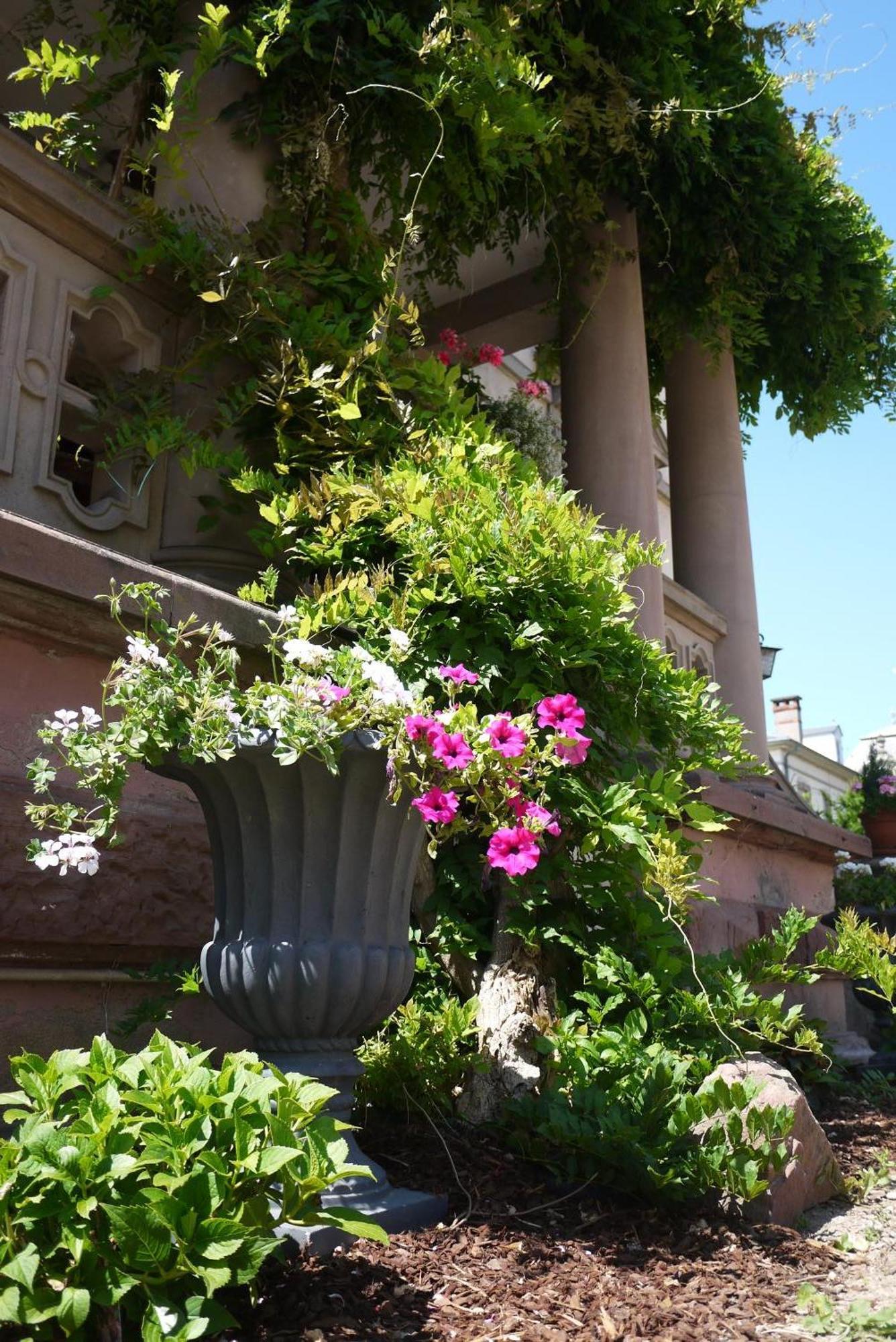 Castelnau Hotel Colmar Exterior foto